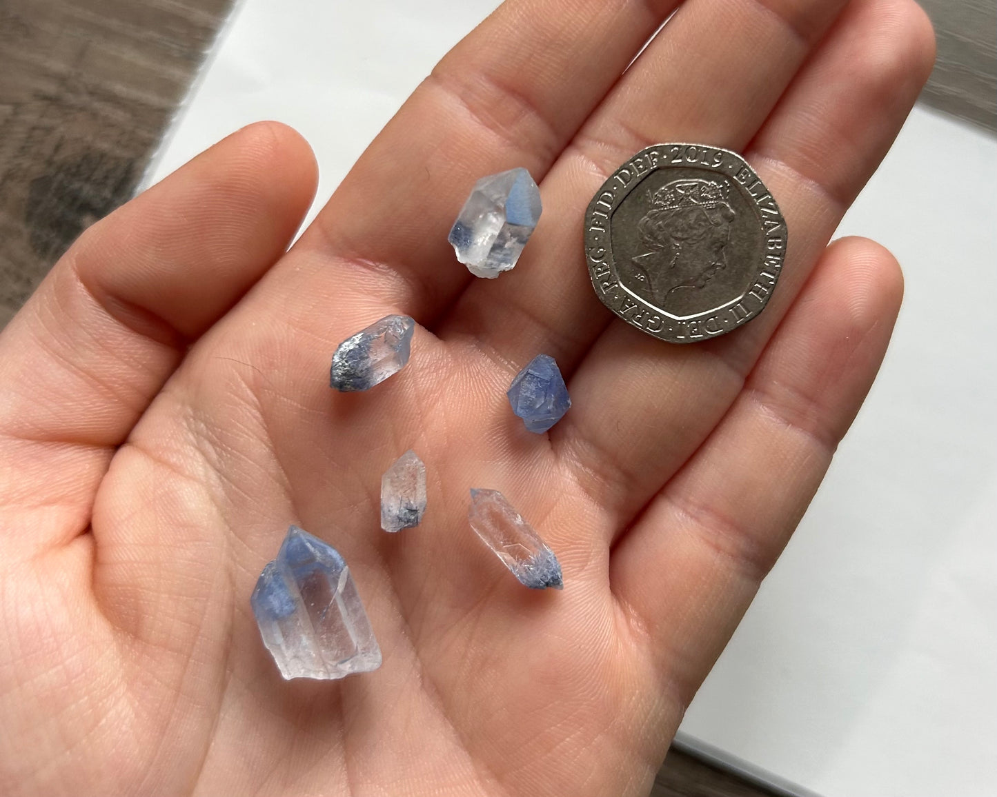 A+ Rare Blue Dumortierite Raw Points - Lilith and Athena Wholesale