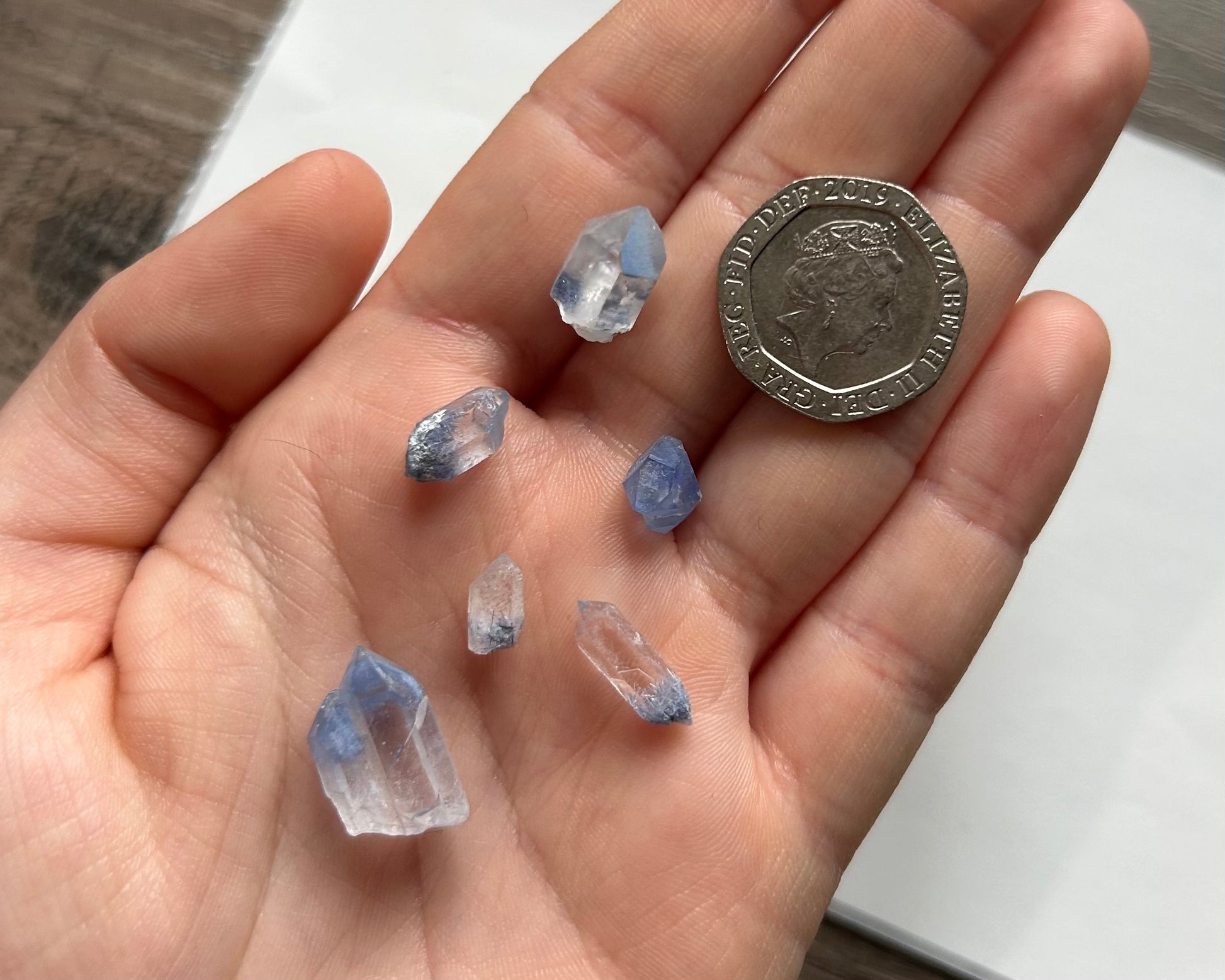 A+ Rare Blue Dumortierite Raw Points - Lilith and Athena Wholesale