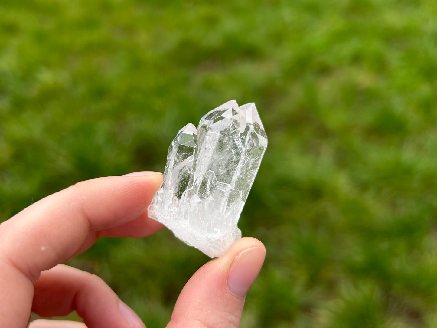Lemurian Quartz Clusters - Lilith and Athena Wholesale