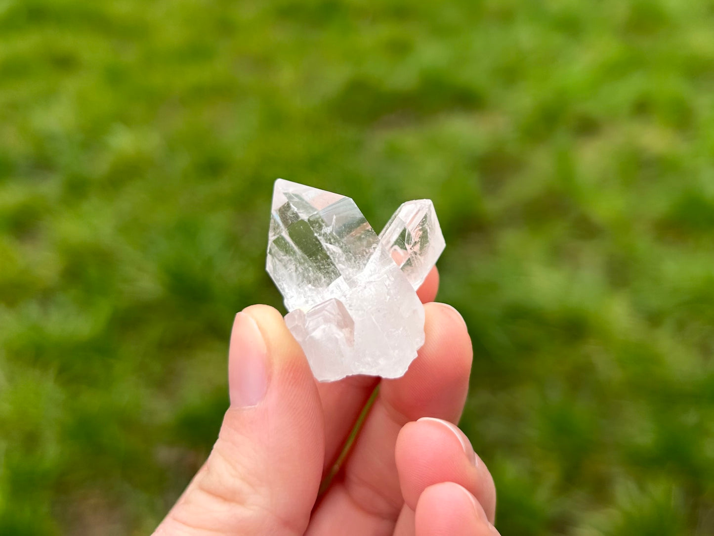 Lemurian Quartz Clusters - Lilith and Athena Wholesale
